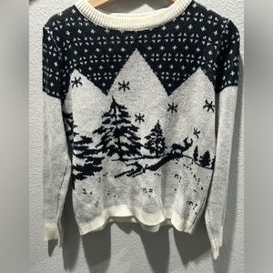 Cotton on Holiday sweater